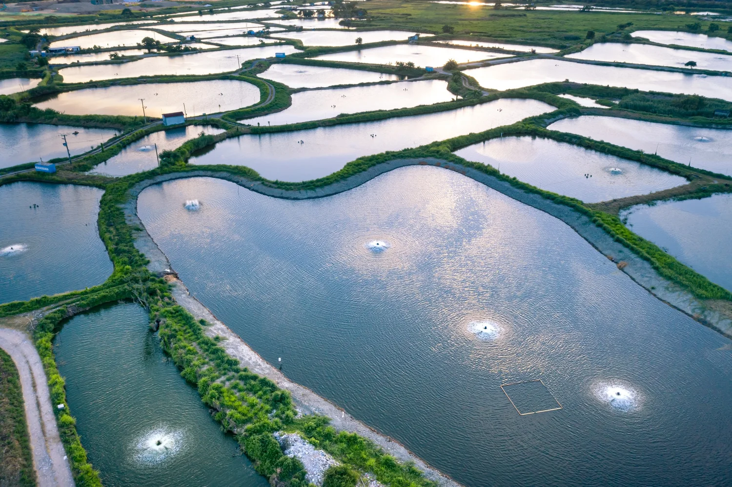 Außenanlage & Teichwirtschaft Teich in Teich Systeme